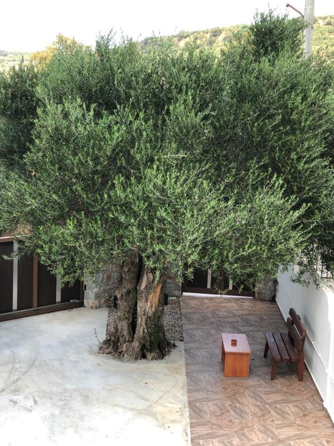 Sirílion Creta Galini Houseヴィラ エクステリア 写真