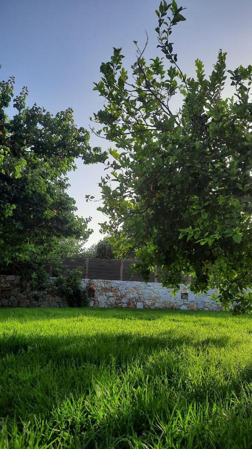Sirílion Creta Galini Houseヴィラ エクステリア 写真